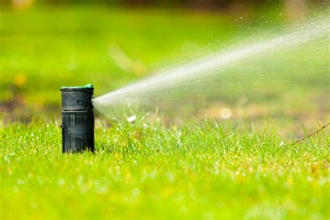 Times of india brings the breaking news and latest news headlines from india and around the world. 9 Simple Ways Anyone Can Conserve Water - The Grow Network ...
