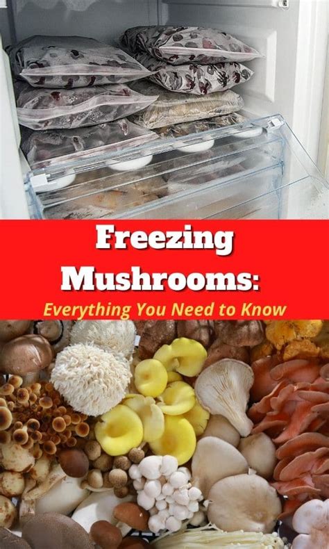Freezing Mushrooms Everything You Need To Know Mushroom Appreciation