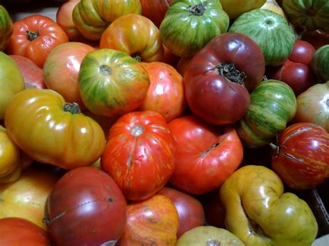 Here are five of our favorites Heirloom Tomatoes are in Season Now! What's your favorite ...