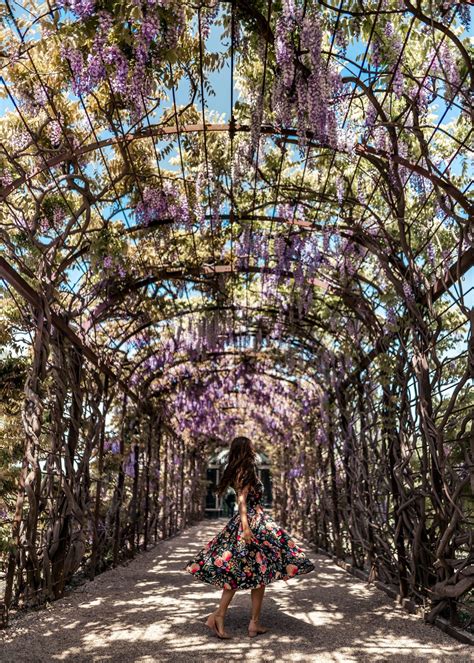 Photo Guide: The Top 16 Most Instagrammable Places in Vienna, Austria