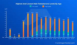 Infographic Testosterone Levels By Age Chart For Men Infographic Tv