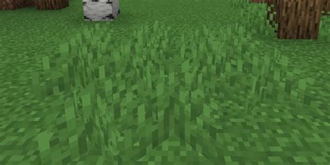 How To Turn Dirt Into Grass Blocks In Minecraft