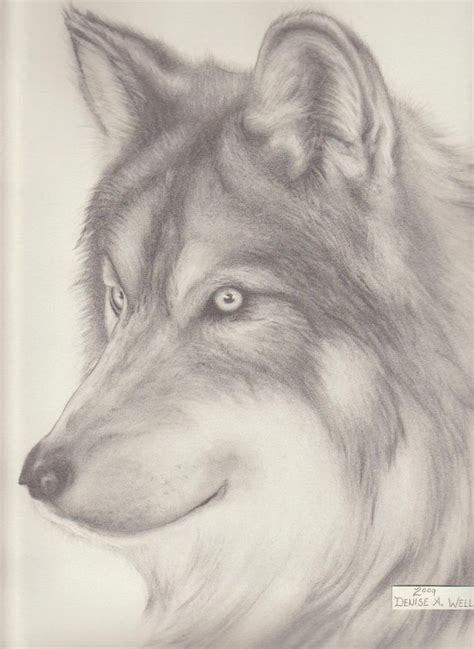 The 25 Best Wolf Head Drawing Ideas On Pinterest How To