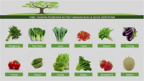 Tabel Ppm Dan Ph Nutrisi Tanaman Buah Dan Sayuran Hidroponik Youtube