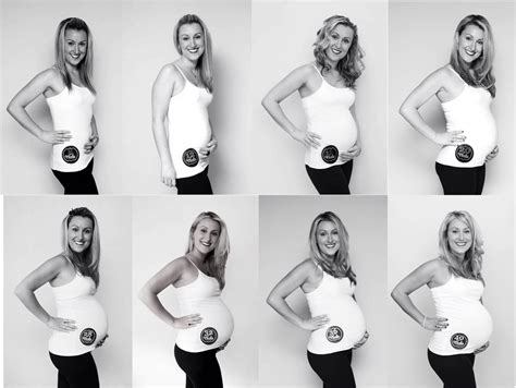 Monthly Baby Bump Pictures By Jenniferpaigephotographysj Stickers From Etsy Baby Bump