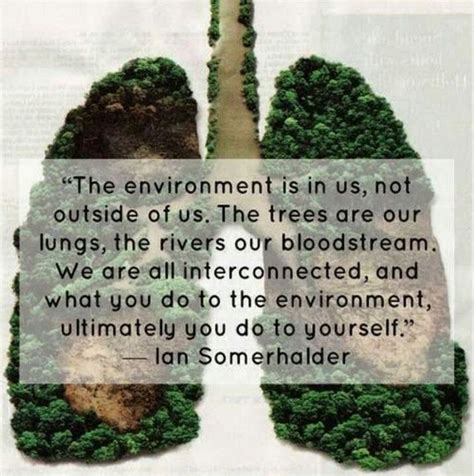 Inspirational Environment Quotes To Create Global Awareness