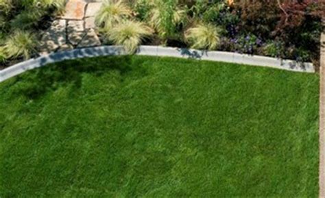 If your lawn is encountering an invasion of zoysia. 2017 How Much Does Zoysia Sod Cost? | Average Zoysia Grass ...
