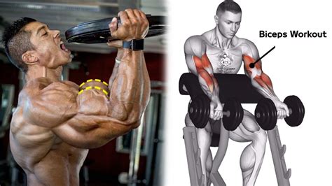 3 Exercises To Build Bigger Biceps Fitness Freak