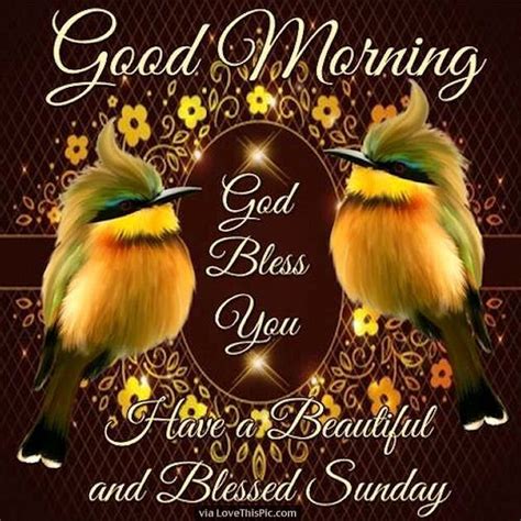 Good Morning God Bless Have A Beautiful Sunday Pictures Photos And