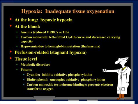 Ppt Hypoxia Inadequate Tissue Oxygenation Powerpoint Presentation Free Download Id 3309939