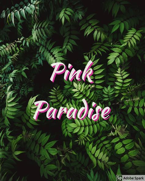 Pink Paradise Home