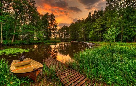 Wallpaper Forest The Sky Grass Water Landscape Sunset Nature