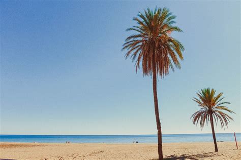 Costa Natura Naturist Village In Andalusia Spain