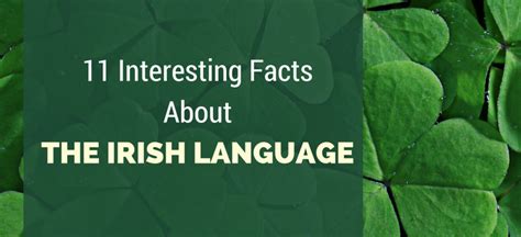 11 Interesting Facts About The Irish Language K International
