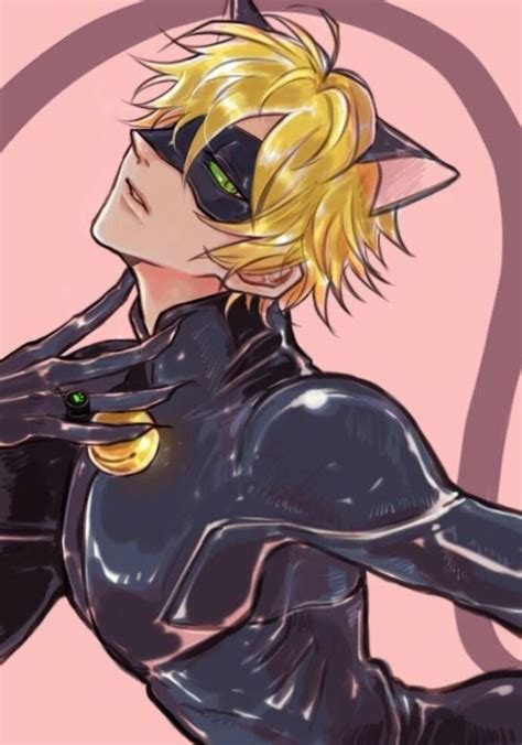Pin On Chat Noir
