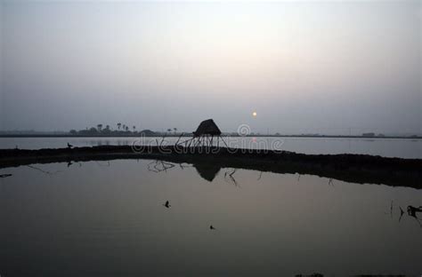 Ganges Delta In Sundarbans West Bengal India Stock Image Image Of