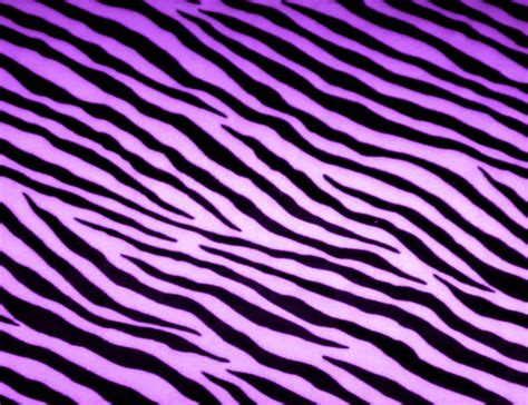 🔥 45 Purple Zebra Print Wallpaper Wallpapersafari