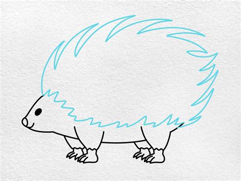 How To Draw A Porcupine Helloartsy