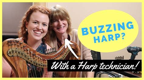 6 Reasons Your Harp Is Buzzing Feat Liza Jensen Youtube