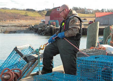 Lobster Season Begins Dumping Day 2019 Lobster Fishing Lobster