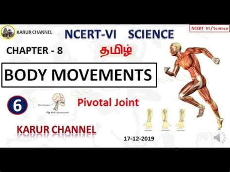 Find the human body parts (external organs) names in the tamil language. NCERT Class 6 Science in Tamil / Chapter-8 / Body ...