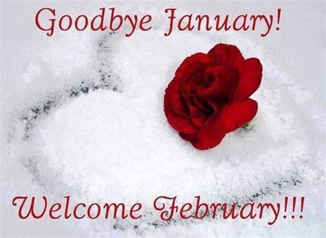 50 Hello February Images Pictures Quotes And Pics 2020 In 2021