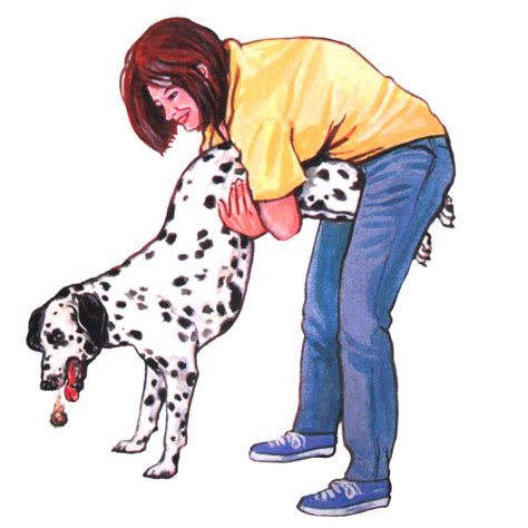 Panicking is something that can greatly interfere with helping your dog and getting the right. How To Save A Choking Dog's Life | Pets, Dog boarding near ...