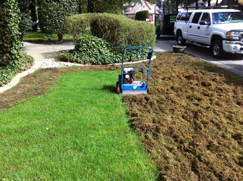 Trying to dethatch a lawn that is too wet or too dry will damage the soil. Power Raking / De-Thatching - Cloverdale Mowing