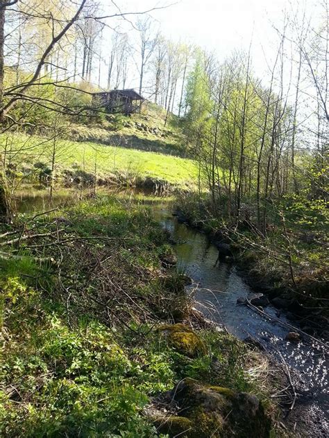 Besucher, die nach webcams in höör/schweden suchten, interessierten sich auch für die gemeinde höör liegt in südschweden in der historischen provinz (landskap) skåne bzw. Ullstorp Bauernhof Ferienhäuser in der Mittel von Skåne ...