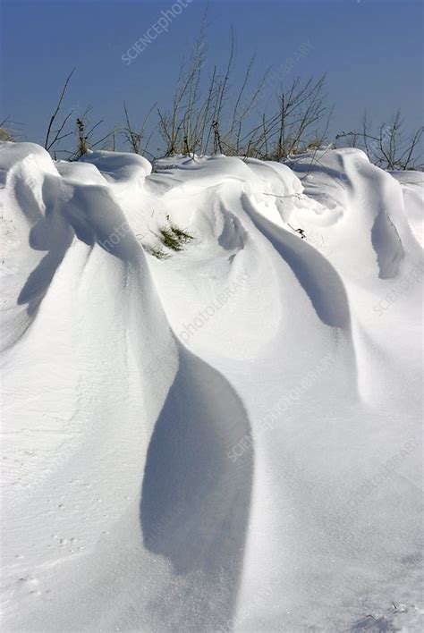 Snow Drift Stock Image C0039026 Science Photo Library