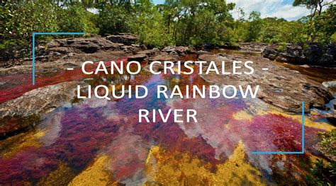 Cano Cristales Colombias Liquid Rainbow River