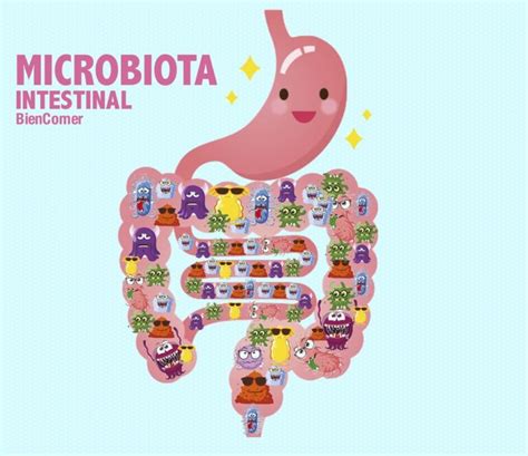 Microbiota Intestinal El Secreto Para Tu Salud Salud Diez