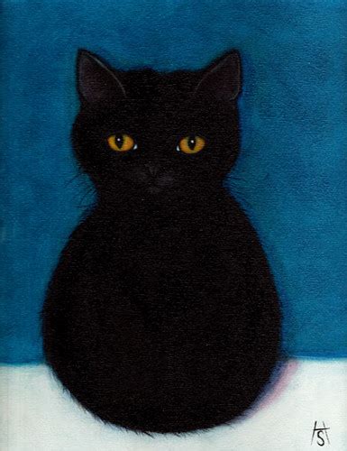 Fuzzy Black Cat Flickr Photo Sharing