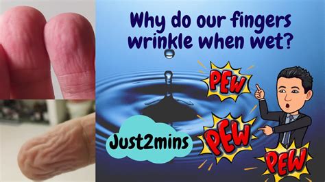 Quick Guide Why Do Our Fingers Wrinkle When Wet Just2mins Youtube