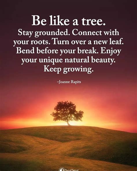 Be Like A Tree Stay Grounded Connected With Your Roots Turn Over A