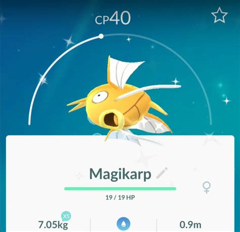With the kinda exception of wobbuffet, which was already available as a shiny if you hatched and evolved a wynaut, a shiny has. Magikarp Shiny em Pokémon GO! - Pokémon Blast News