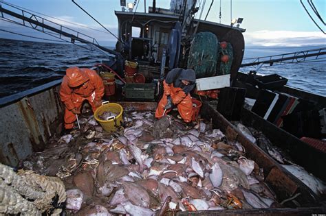 Climate Change Impacts Ripple Through Fishing Industry While Ocean