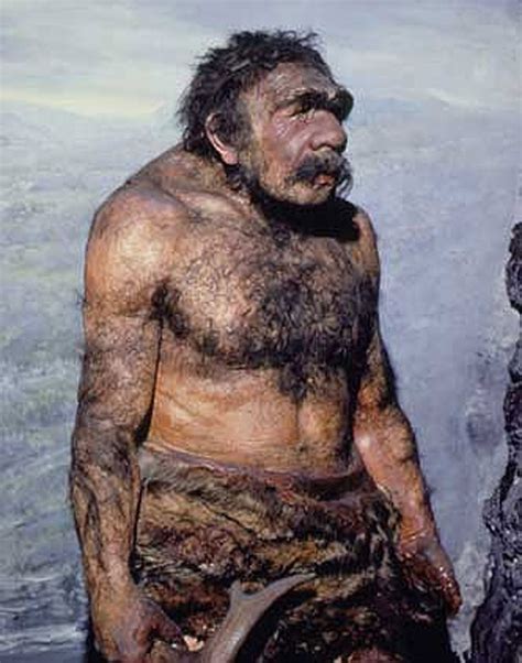 The Neanderthal Murder Mystery The Independent The Independent