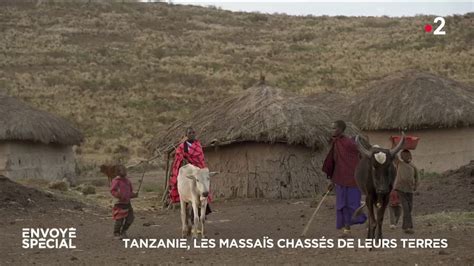 Video Tanzanie Les Massaïs Chassés De Leurs Terres