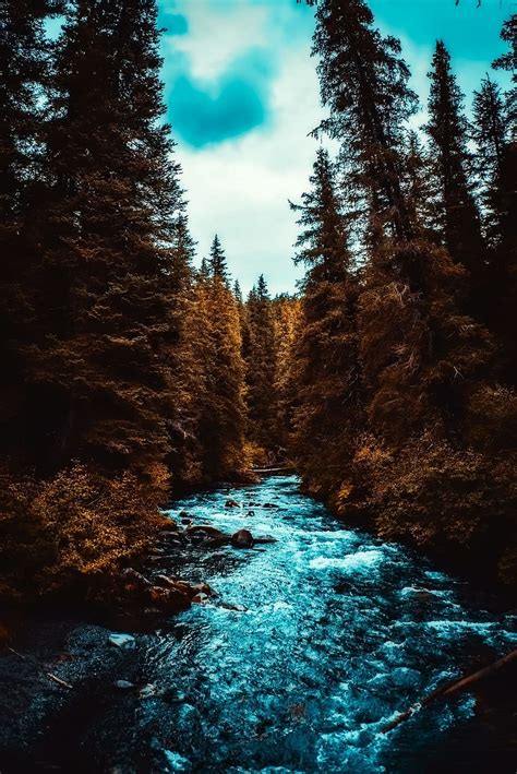 Hd Wallpaper Timelapse Photo Of River Between Trees Alaska Landscape