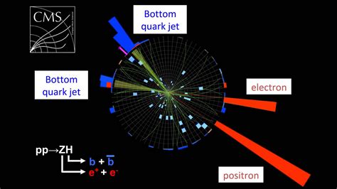 Physicists Detect Higgs Boson Via Decay In Two Bottom Quarks