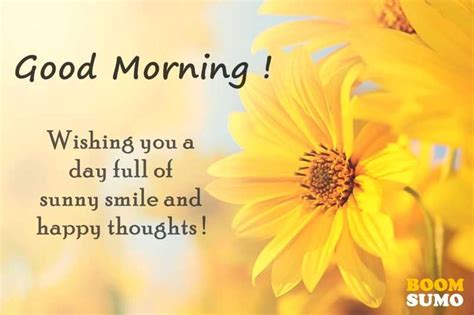 Good Morning Quotes Awesome Day Full Of Sunny Smile And Happy Thoughts