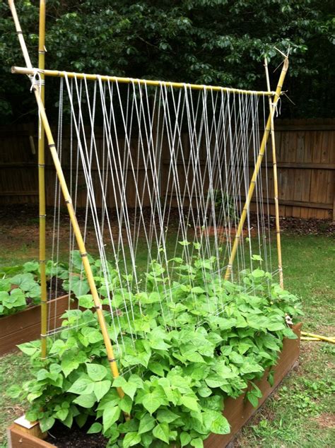 Functional Diy Cucumber Trellis Ideas Vegetable Garden Trellis