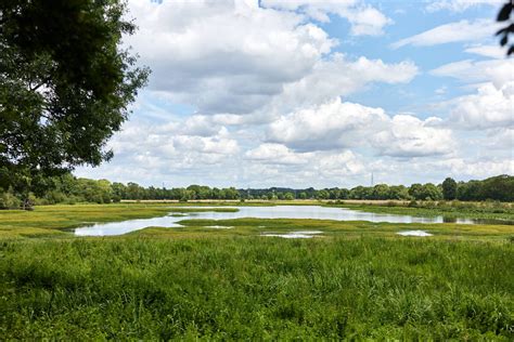 Exploring The Wetlands Of Anjou By Bike Destination Angers Tourist