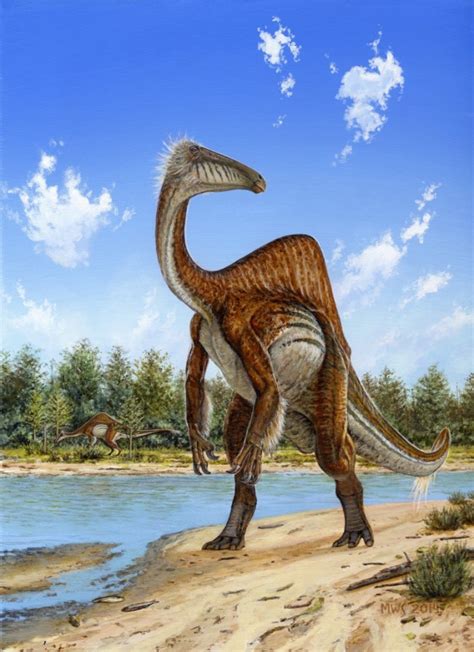 Duck Billed Dinosaur Fossils Settle Years Of Speculation Discover