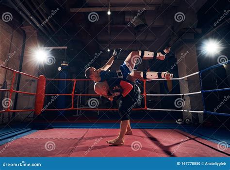 Boxers Training Kickboxing In The Ring At The Health Club Stock Photo