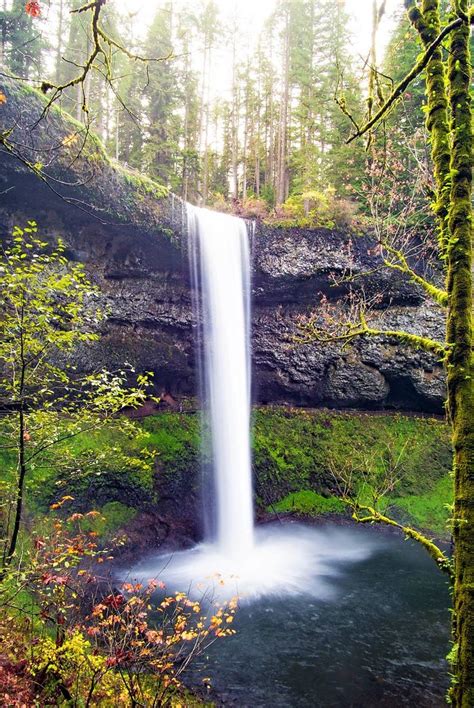 10 Amazing Waterfall Hikes In Oregon Silver Falls State Park
