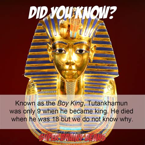 Tutankhamun The Boy King Egyptian Facts And Links At Super Brainy