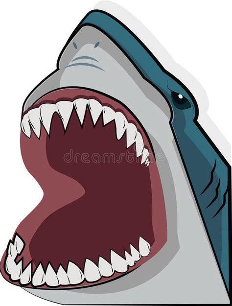 Shark Open Mouth Stock Vector Illustration Of Animal