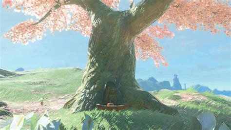 Zelda Tears Of The Kingdom — Where To Find All Satori Cherry Blossom